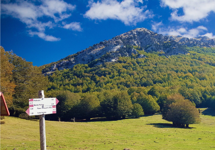 segnale rocce e alberi del parco del pollino