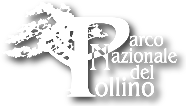 logo pollino bianco con ombra