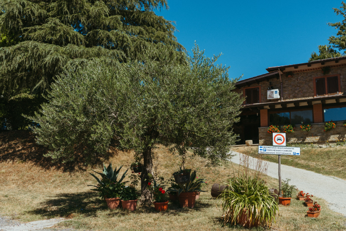 albero e ingresso del ristorante bosco principe